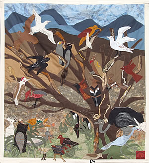 The Birds of the Karoo